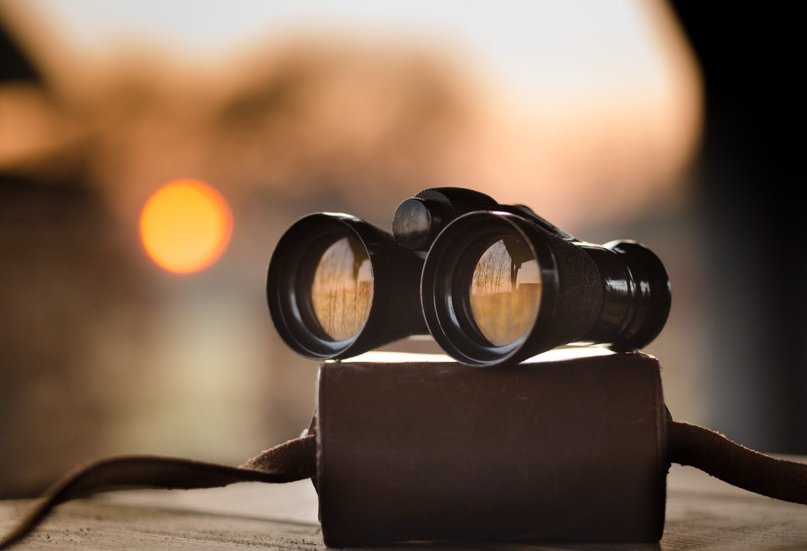 Looking ahead – our vision